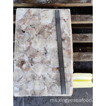 Frozen Squid Leftover Wing Illex Argentinus 0-10000